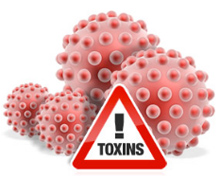 токсины - яд и vision витамины